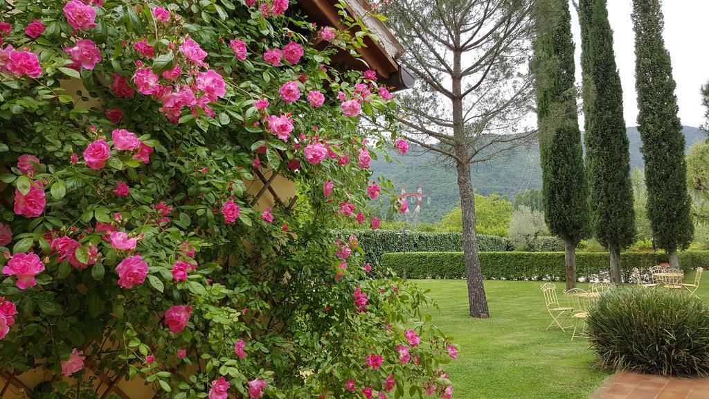 Agriturismo I Terzieri Ferentillo Exterior photo